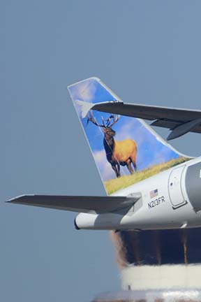 Frontier Airbus A320-214 N213FR Montana th Elk, Phoenix Sky Harbor, December 22, 2014